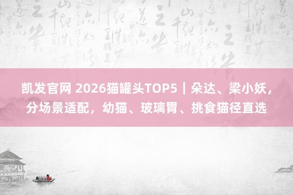 凯发官网 2026猫罐头TOP5｜朵达、梁小妖，分场景适配，幼猫、玻璃胃、挑食猫径直选