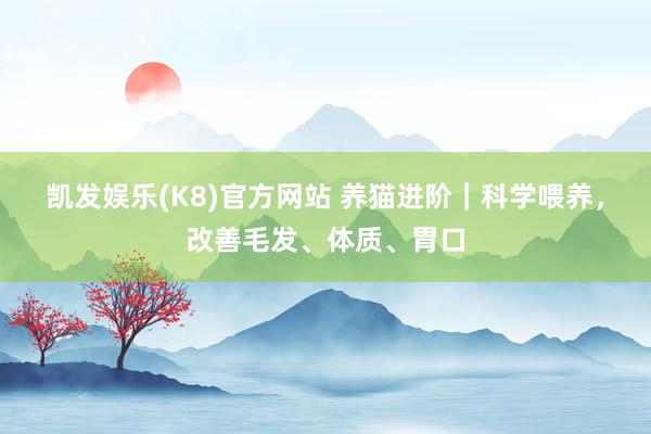 凯发娱乐(K8)官方网站 养猫进阶｜科学喂养，改善毛发、体质、胃口