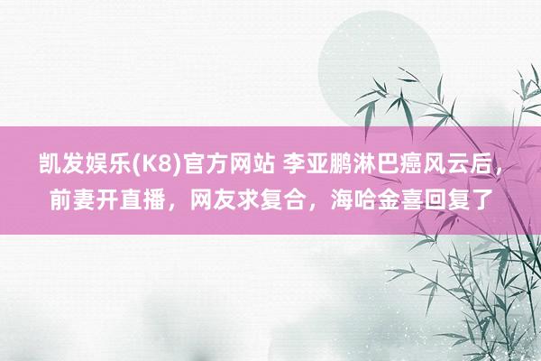 凯发娱乐(K8)官方网站 李亚鹏淋巴癌风云后，前妻开直播，网友求复合，海哈金喜回复了