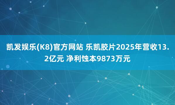 凯发娱乐(K8)官方网站 乐凯胶片2025年营收13.2亿元 净利蚀本9873万元