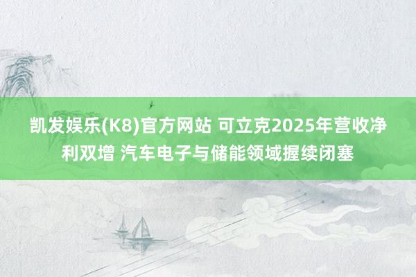 凯发娱乐(K8)官方网站 可立克2025年营收净利双增 汽车电子与储能领域握续闭塞