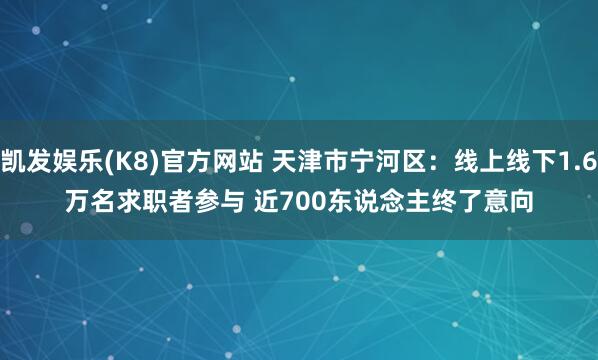 凯发娱乐(K8)官方网站 天津市宁河区：线上线下1.6万名求职者参与 近700东说念主终了意向