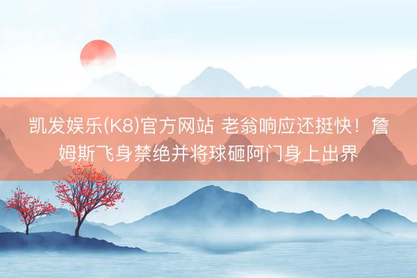 凯发娱乐(K8)官方网站 老翁响应还挺快！詹姆斯飞身禁绝并将球砸阿门身上出界