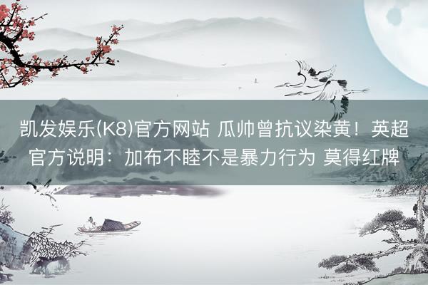 凯发娱乐(K8)官方网站 瓜帅曾抗议染黄!英超官方说明:加布不睦不是暴力行为 莫得红牌