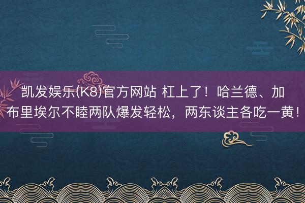 凯发娱乐(K8)官方网站 杠上了！哈兰德、加布里埃尔不睦两队爆发轻松，两东谈主各吃一黄！