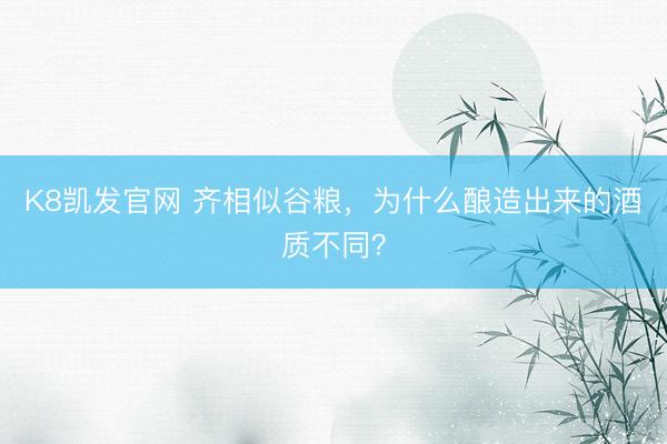 K8凯发官网 齐相似谷粮，为什么酿造出来的酒质不同？