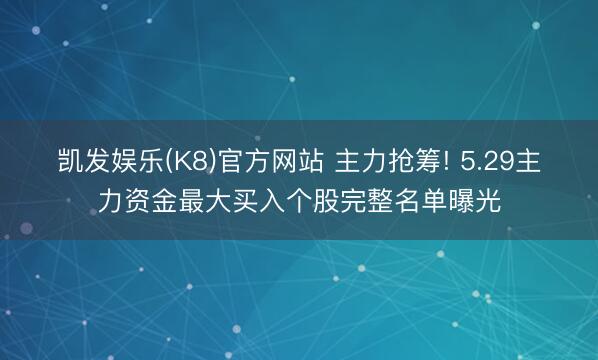 凯发娱乐(K8)官方网站 主力抢筹! 5.29主力资金最大买入个股完整名单曝光