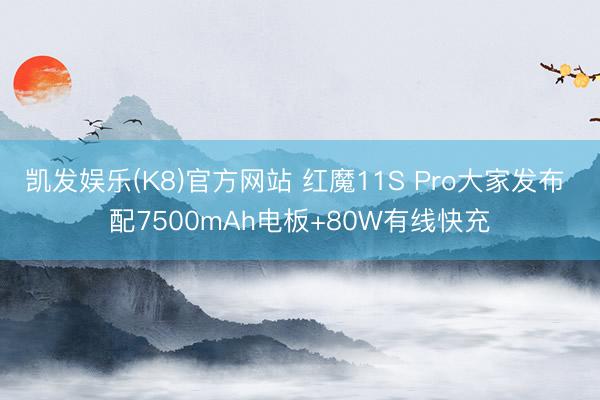 凯发娱乐(K8)官方网站 红魔11S Pro大家发布 配7500mAh电板+80W有线快充