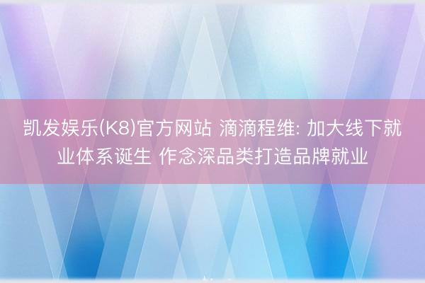 凯发娱乐(K8)官方网站 滴滴程维: 加大线下就业体系诞生 作念深品类打造品牌就业