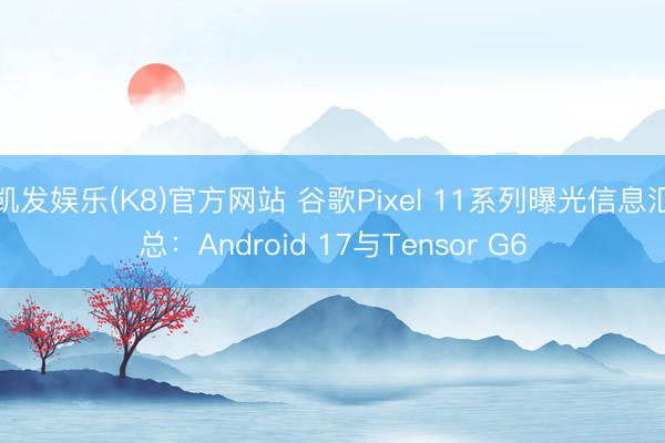 凯发娱乐(K8)官方网站 谷歌Pixel 11系列曝光信息汇总:Android 17与Tensor G6