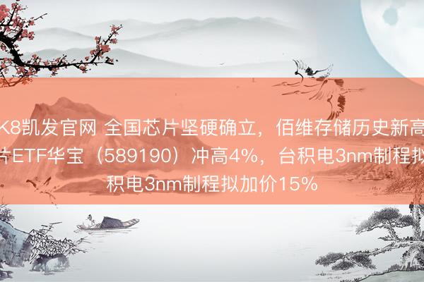 K8凯发官网 全国芯片坚硬确立，佰维存储历史新高！科创芯片ETF华宝（589190）冲高4%，台积电3nm制程拟加价15%