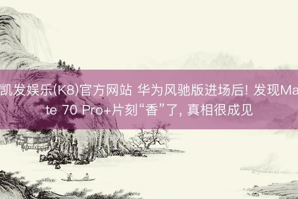 凯发娱乐(K8)官方网站 华为风驰版进场后! 发现Mate 70 Pro+片刻“香”了， 真相很成见