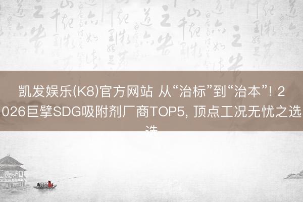 凯发娱乐(K8)官方网站 从“治标”到“治本”! 2026巨擘SDG吸附剂厂商TOP5， 顶点工况无忧之选