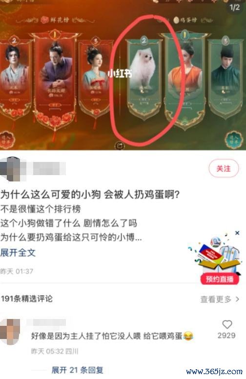 上线5天卖了100万套，这可能是频年来最上面的“女帝模拟器” 职权战役新高度