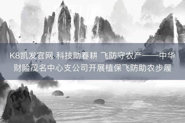 K8凯发官网 科技助春耕 飞防守农产——中华财险茂名中心支公司开展植保飞防助农步履