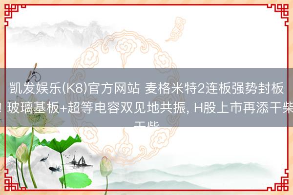 凯发娱乐(K8)官方网站 麦格米特2连板强势封板! 玻璃基板+超等电容双见地共振， H股上市再添干柴